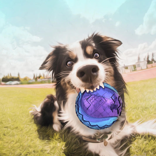 Pet Dog Squeaky Toys Ball Puppy Chew Toys Sound Pure Natural Non, Ansicht 3