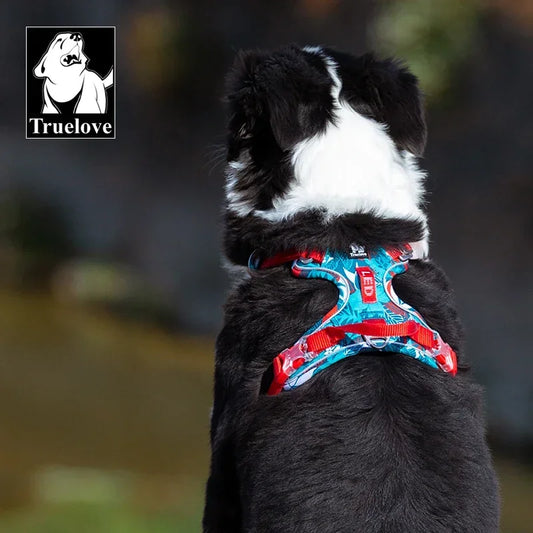 Hundegeschirr gepolstert, reflektierend, Ansicht 3